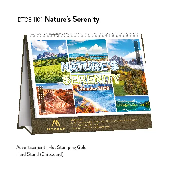 DTCS 1101 01